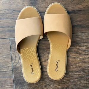 Tan slides